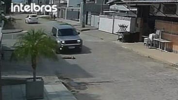 Cachorro atropelado enquanto dormia recebe alta após cirurgia, em João Pessoa; motorista ainda não foi identificado