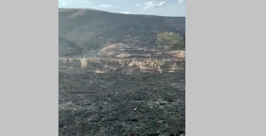 Polícia investiga incêndio criminoso que devastou área de 15 campos de futebol na Paraíba