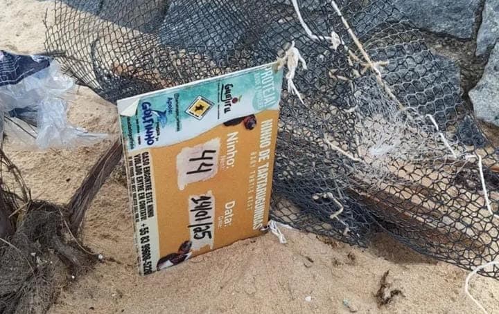 Ninho de tartarugas marinhas é vandalizado na praia de Manaíra, em João Pessoa