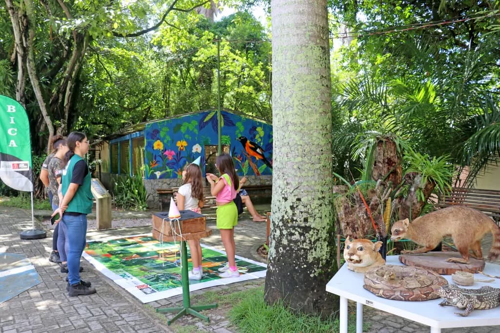 Especialista em psicologia infantil alerta para perigos físicos e emocionais da 'adultização' precoce