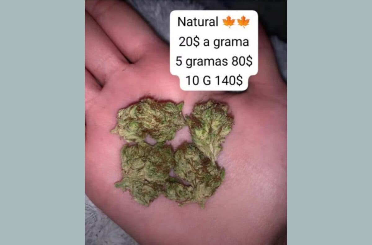 Pizzaiolo é preso por vender drogas pela internet e oferecer 'delivery' no Rio Grande do Norte