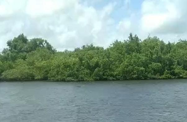 Corpo de jovem desaparecido é encontrado boiando às margens do rio Sanhauá, em Bayeux