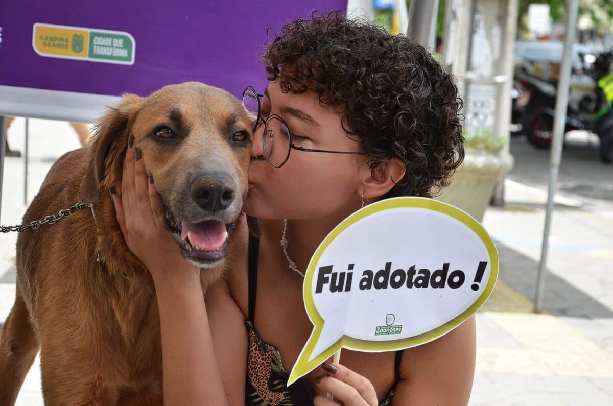 Prefeitura de Campina Grande realiza Dia D de Adoção nesta sexta-feira