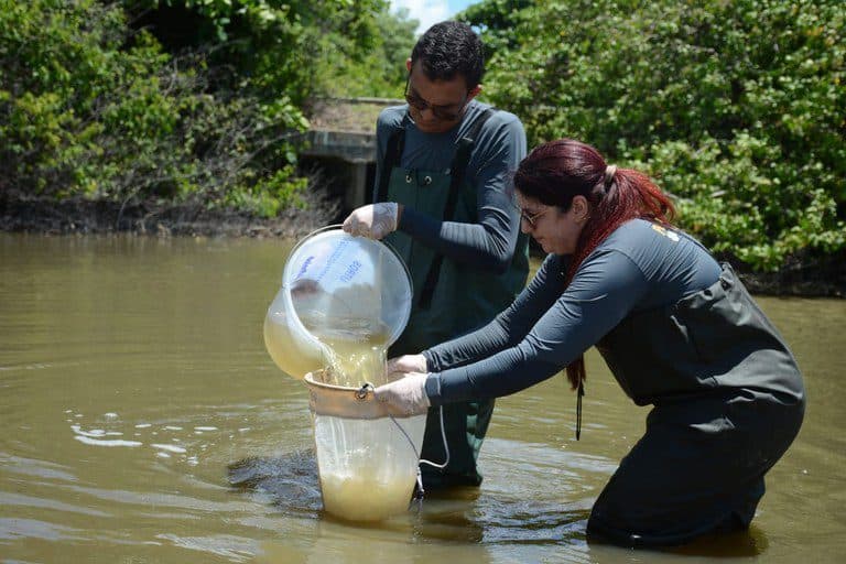 Pesquisadores da UEPB coletam amostras de água do Rio Jaguaribe para análise, entre as praias do Bessa e Intermares