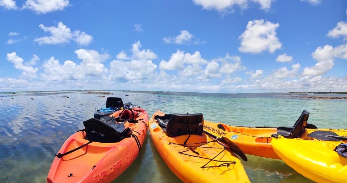 João Pessoa oferta aulas de caiaque gratuitas na orla de Cabo Branco; saiba como participar