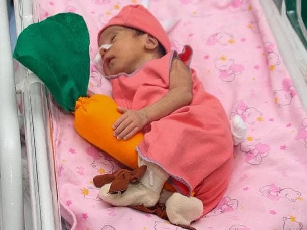 FOTOS: Bebês são vestidos de coelhos da Páscoa na Maternidade Frei Damião, em João Pessoa