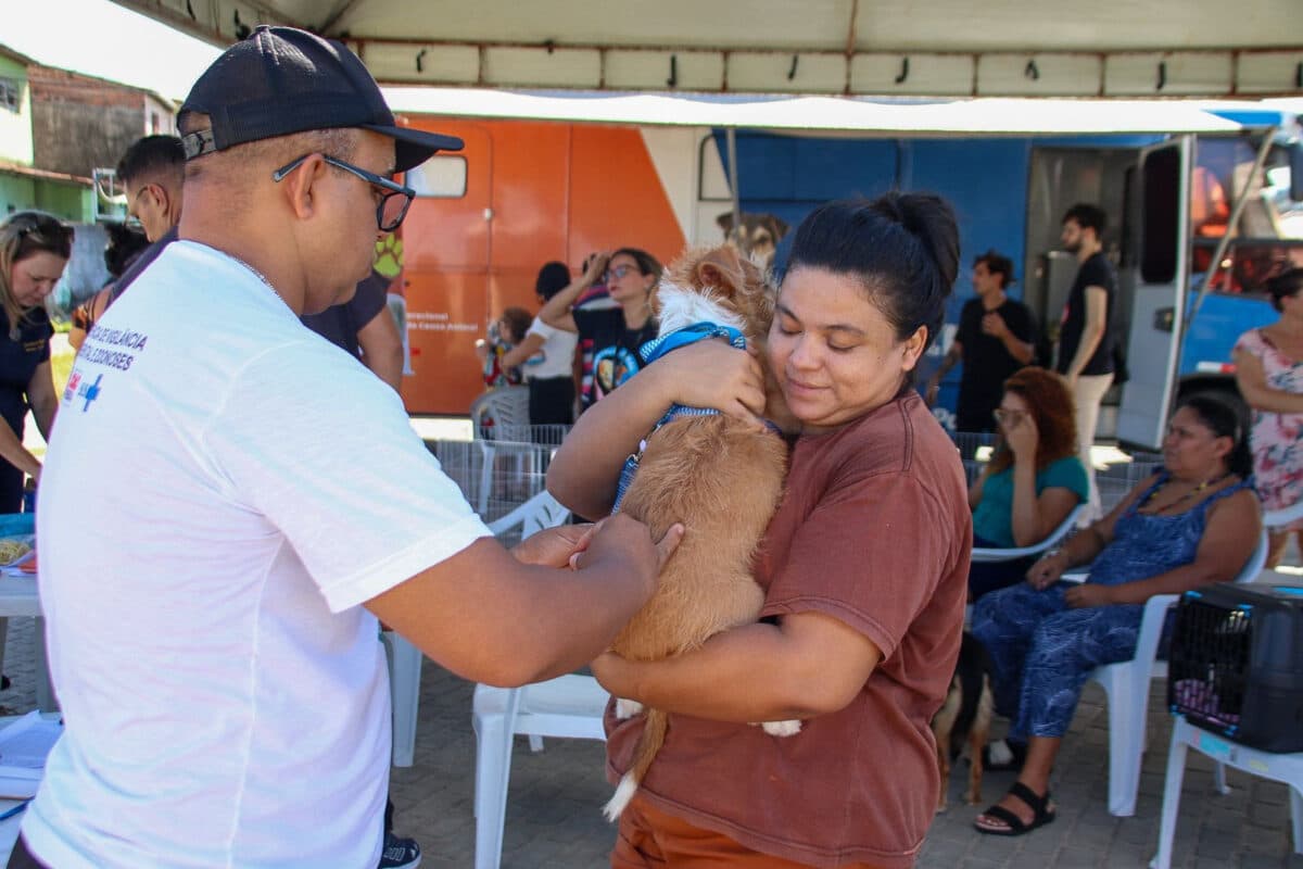 Governo da Paraíba realiza mutirão de adoções, castração e vacinação de pets em João Pessoa e Campina Grande