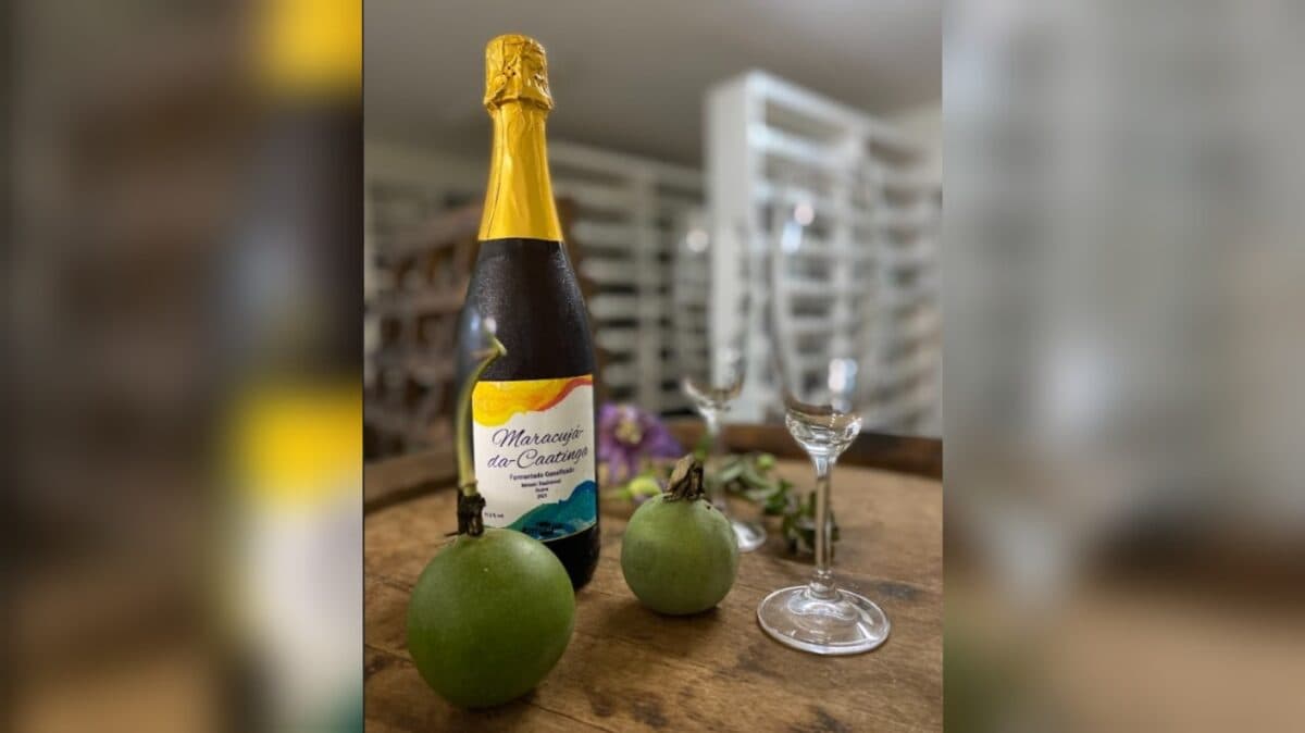 ‘Sabor exótico’: pesquisa da UFPB elabora espumante à base de maracujá-da-caatinga