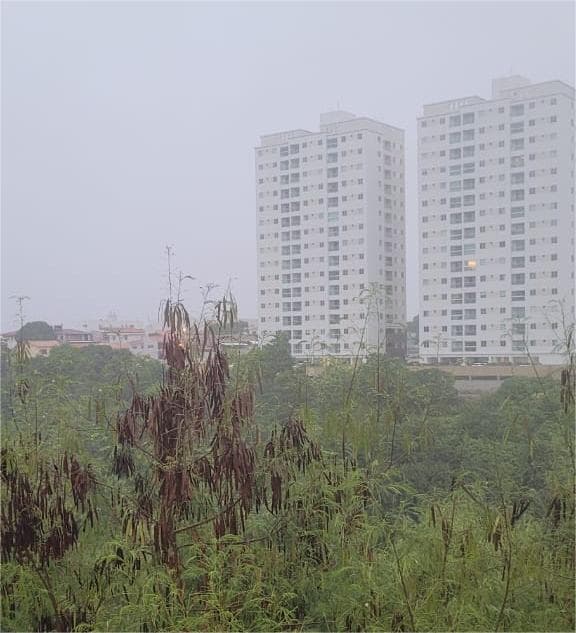 Defesa Civil diz que chuva ultrapassa 149 mm nas últimas 24 horas em João Pessoa e alerta população