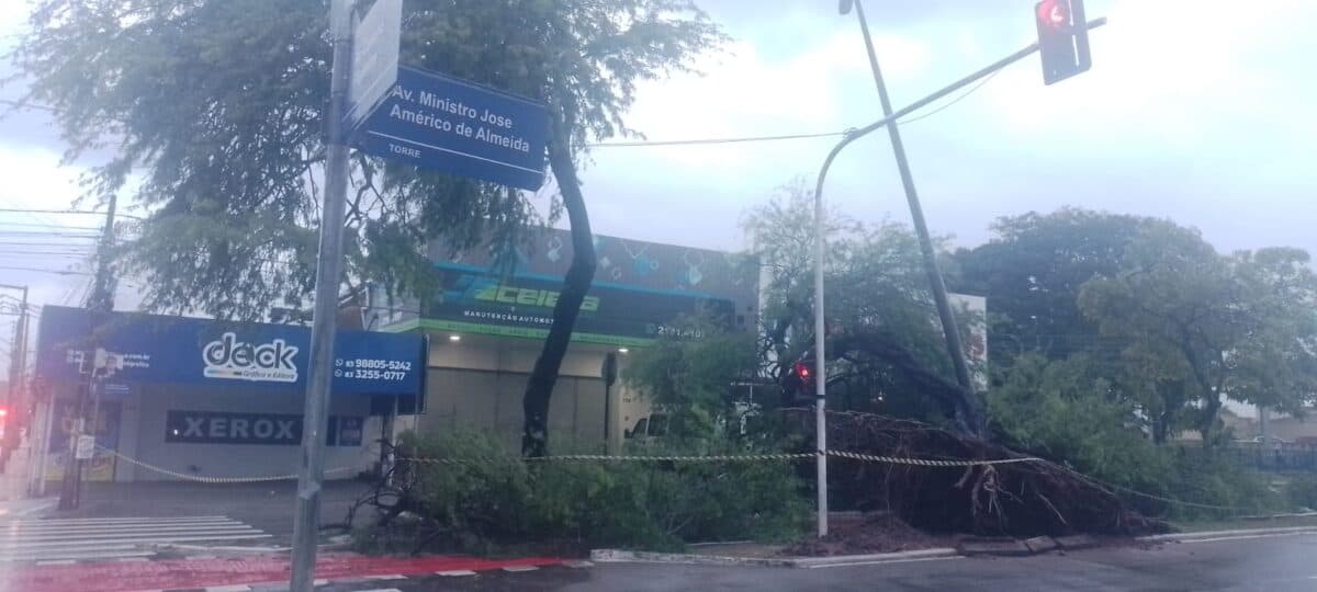 Árvore cai em ciclovia na Beira Rio durante chuvas em João Pessoa