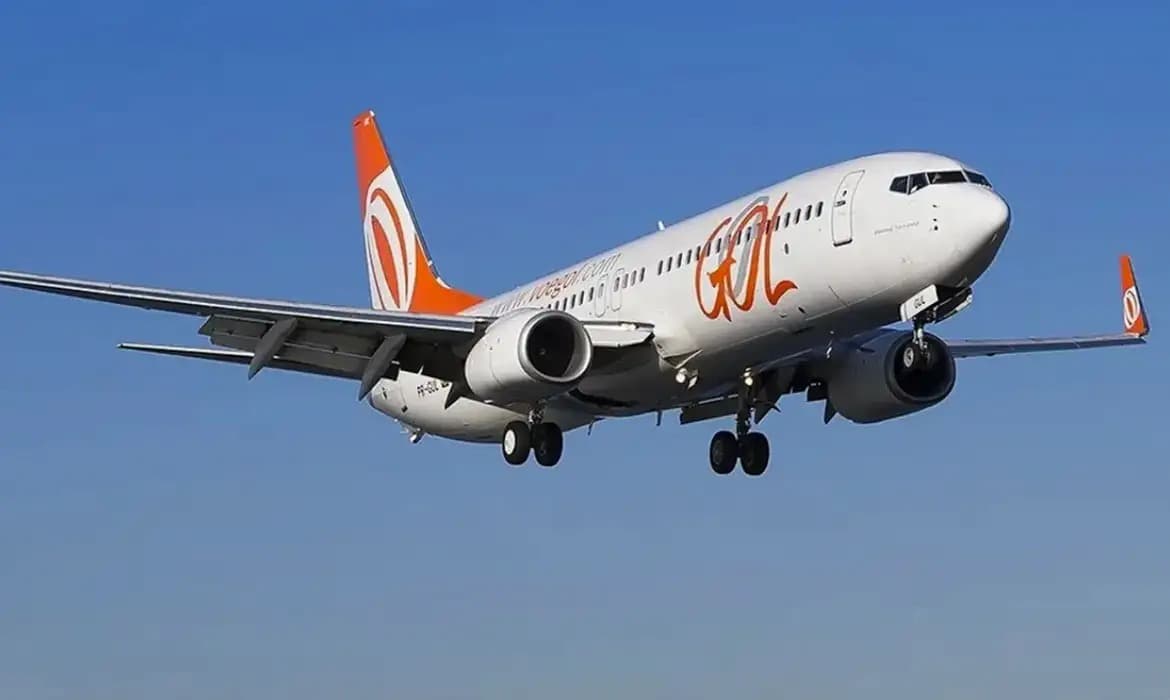 Avião saindo de João Pessoa para São Paulo se choca com pássaros e faz pouso de emergência