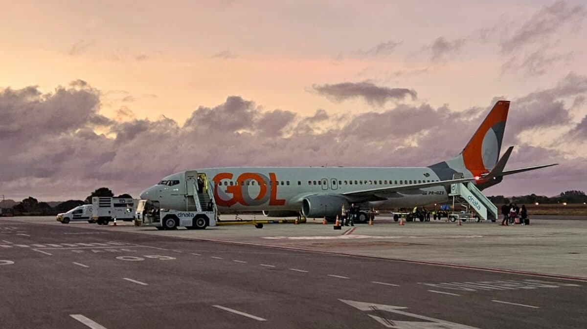 Passageira que seguia para Suécia relata susto em pouso de emergência após colisão com pássaro em João Pessoa: “barulho muito forte”