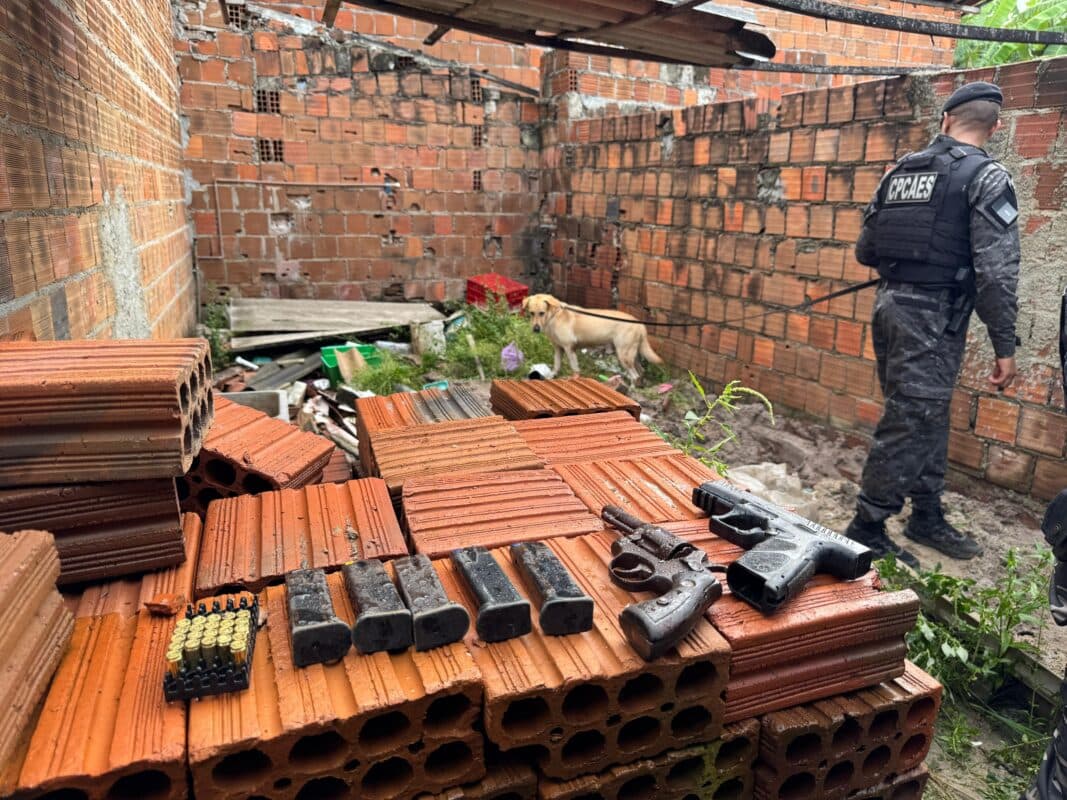Cachorro da Polícia Militar encontra armas de fogo enterradas por facção criminosa em João Pessoa