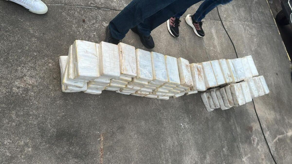 PRF e Polícia Federal apreendem 163kg de cocaína escondidos em caminhão na Grande João Pessoa