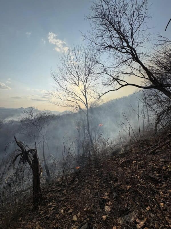 Após sete dias, Corpo de Bombeiros não registra focos de incêndio na Serra do Cruzeiro