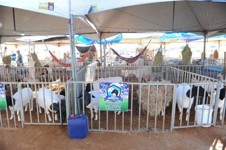 Expo Monteiro 2025 começa hoje com palestras, empreendedorismo, gastronomia, cultura e mais R$ 80 mil em premiações