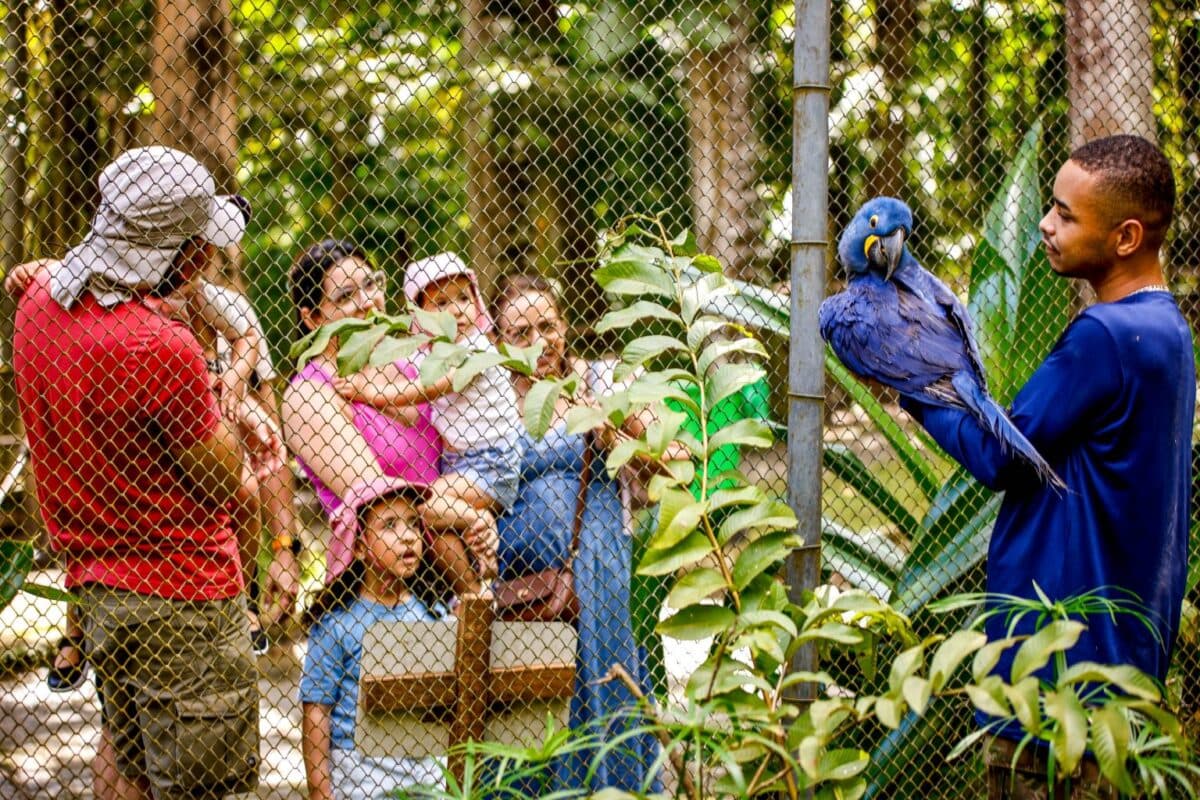 Semana das Crianças no Parque Arruda Câmara terá atividades educativas a partir de amanhã