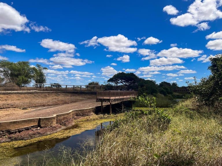 Vale dos Dinossauros tem visitações suspensas após incêndio na vegetação
