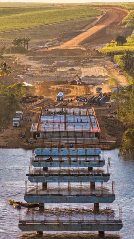 MPF apura impactos da obra da Ponte do Futuro no habitat de animais da região
