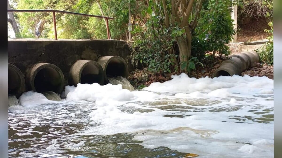 VÍDEOS: populares denunciam poluição no Rio do Cabelo e fazem apelo às autoridades