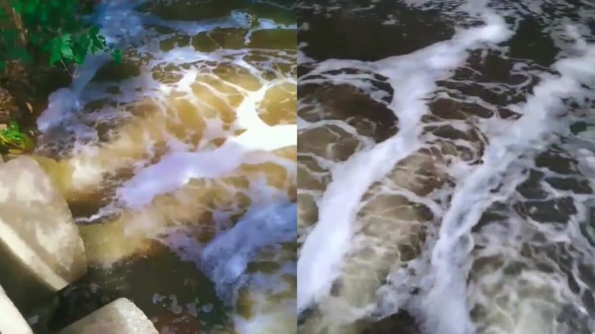 VÍDEO: populares voltam a denunciar espuma, despejo de esgoto e morte de peixes no rio do Cabelo, em João Pessoa