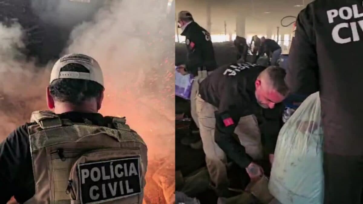 Polícia Civil incinera duas toneladas de drogas apreendidas em operação na Paraíba; 37 suspeitos foram presos