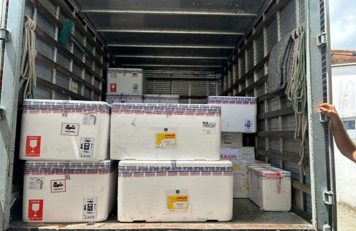 Paraíba recebe primeiras doses da vacina para gestantes contra vírus sincicial respiratório