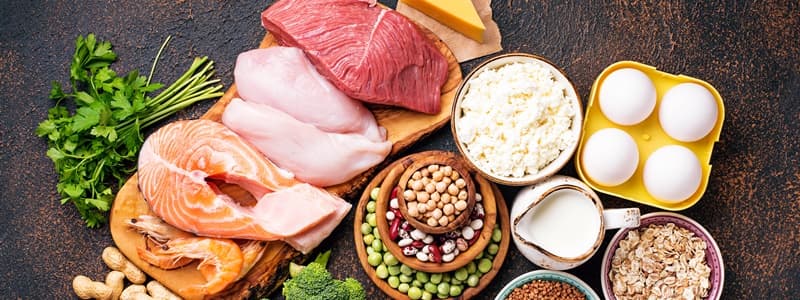 Cinco em cada 10 brasileiros desejam consumir mais proteínas em 2026, mostra estudo