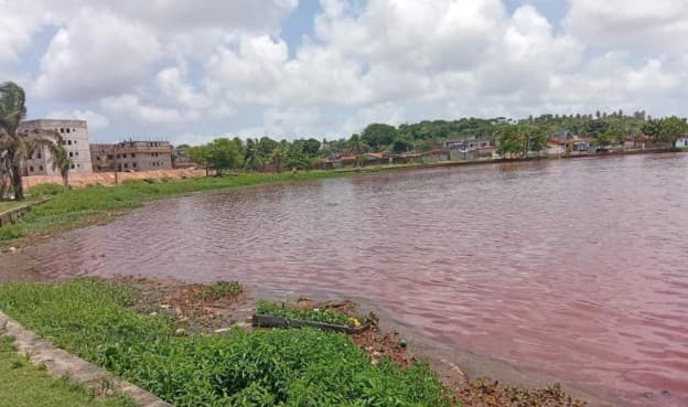 Vistoria da Prefeitura detecta indícios de lançamento irregular de esgoto em Parque das Três Lagoas