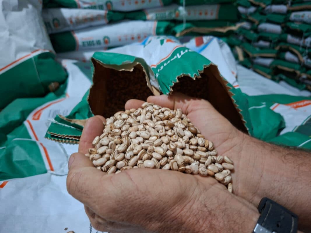 Governo da Paraíba distribui 520 toneladas de sementes certificadas