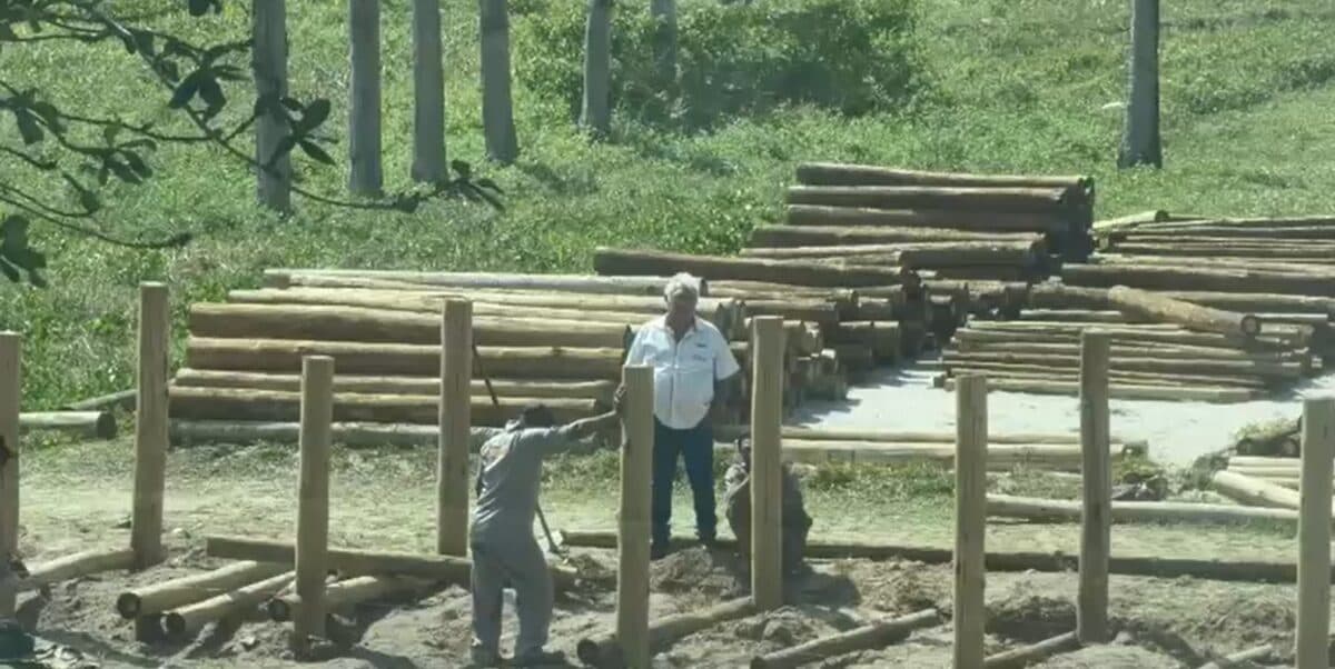 Juíza federal intima construtora para interromper obras na Praia de Camboinha, sob risco de multa de R$ 20 mil/dia