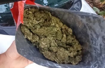 PRF apreende 30 kg de maconha em veículo na BR-230 em Sobrado
