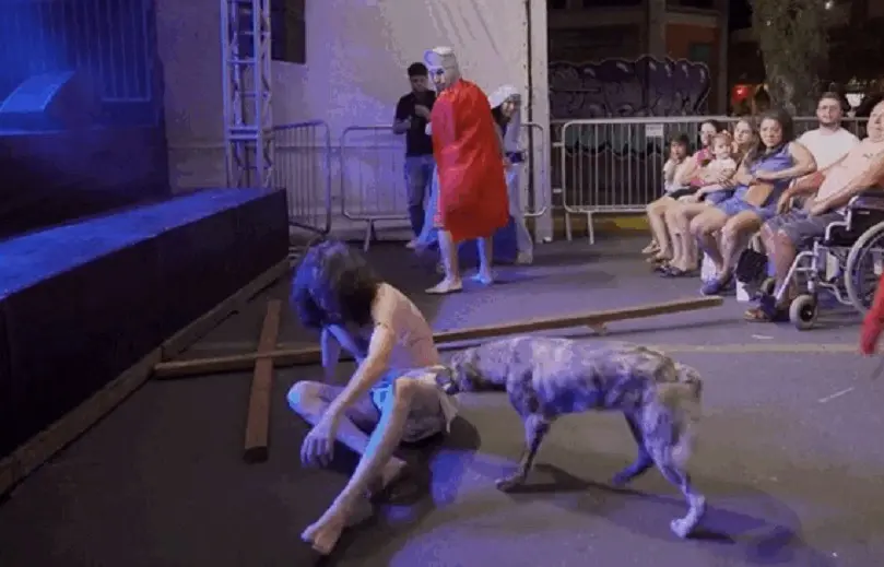 Cadela ‘defende’ Jesus durante encenação da Paixão de Cristo