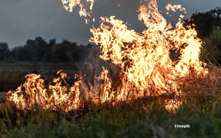 Ministério Público dá 60 dias para que Usina São João implante plano de monitoramento contra queimadas na região