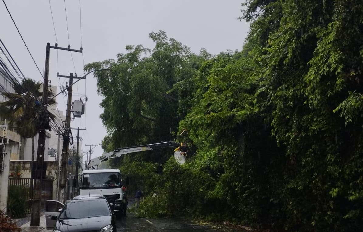 Árvore cai e causa bloqueio parcial na Rua da Mata, no Cabo Branco, em João Pessoa