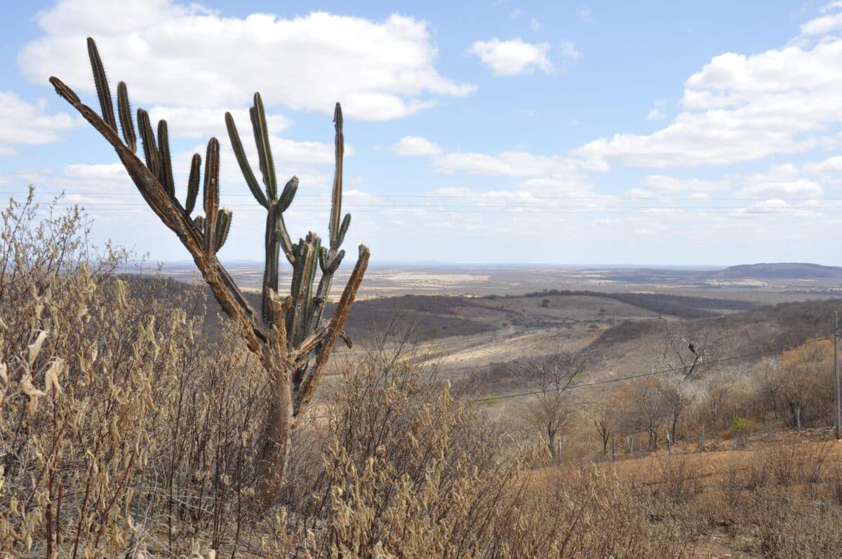 Fenômeno El Niño pode ocorrer neste ano, com risco de aumento de temperaturas e seca na Paraíba