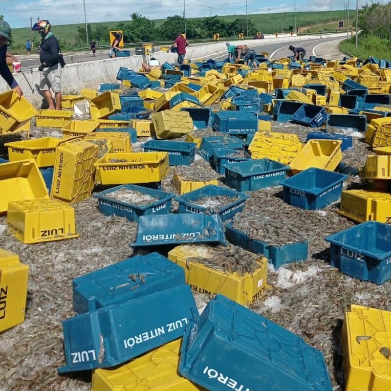 Caminhão carregado de camarão tomba na BR-101 entre entre João Pessoa e Natal