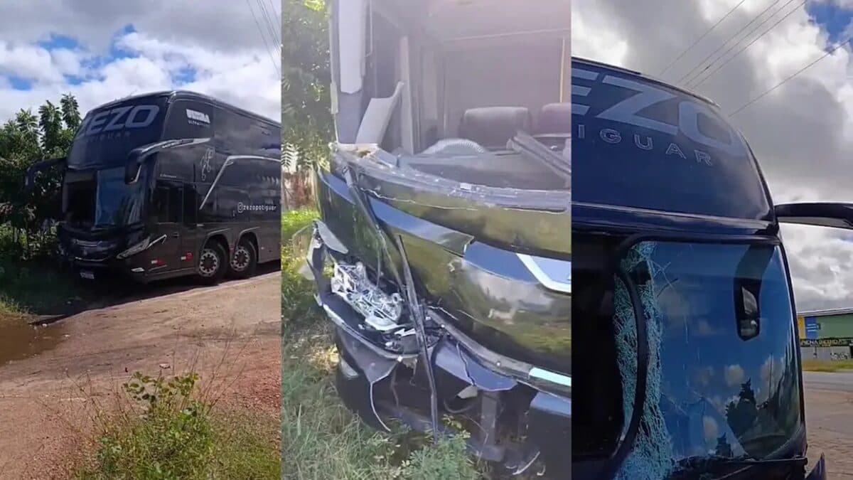 Ônibus de Zezo atropela cavalo na BR-230, na Paraíba