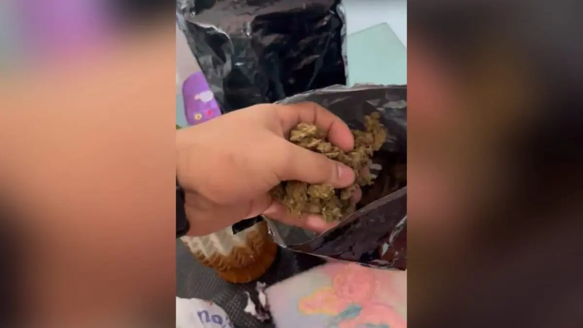 Polícia prende mulher em flagrante com quase um quilo de 'skunk' em Campina Grande