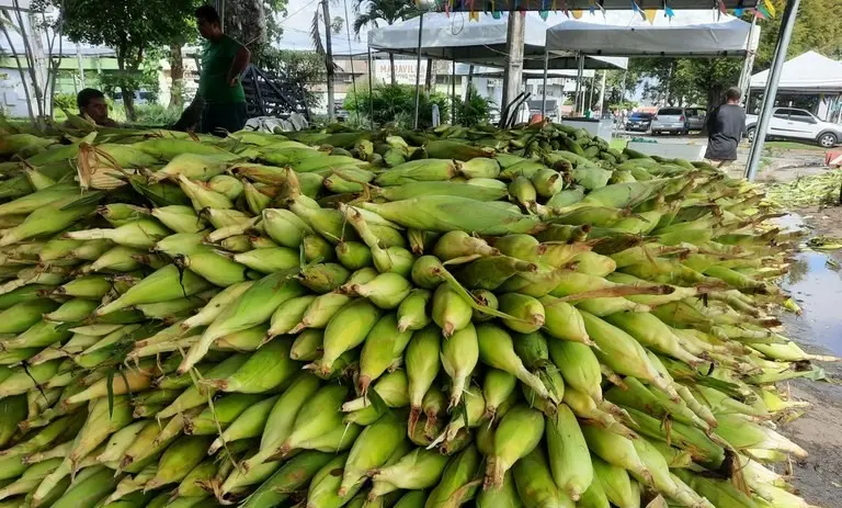 Cadastro para comerciantes da Feira do Milho da Empasa começa na próxima segunda-feira