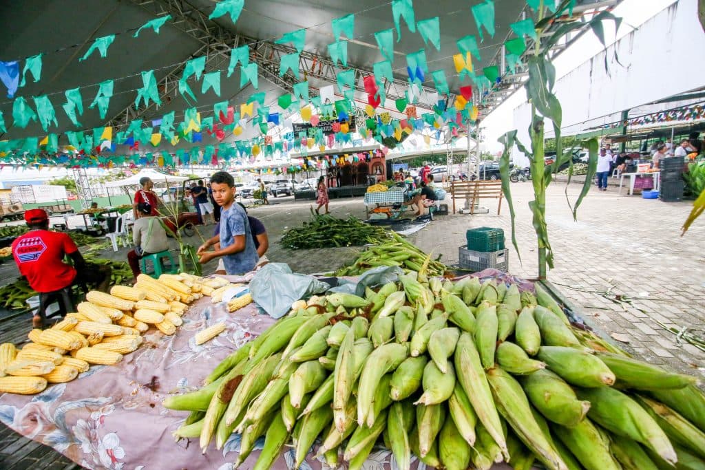 10ª Festival do Milho espera vender 780 mil espigas no período junino em João Pessoa