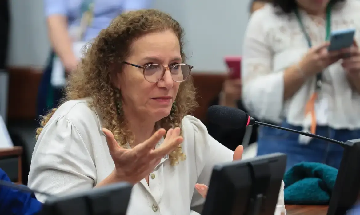 Parlamentares governistas apresentam nos EUA contraponto à direita