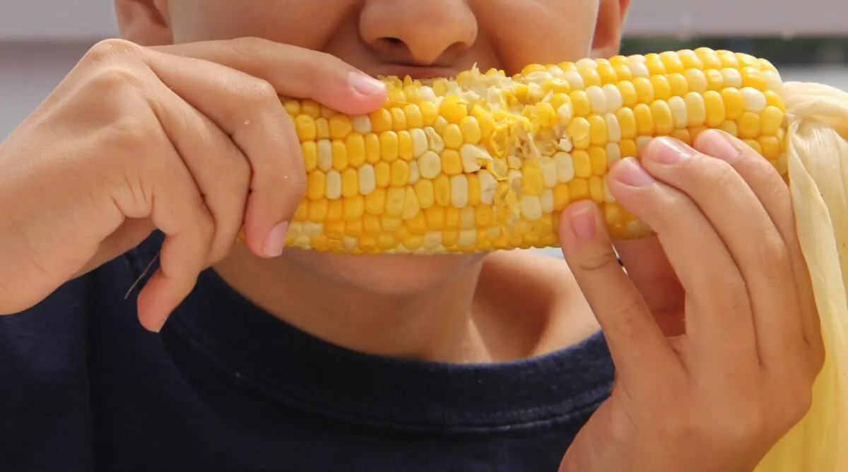 Milho, paçoca e pé de moleque: como aproveitar as festas juninas sem colocar dentes em risco