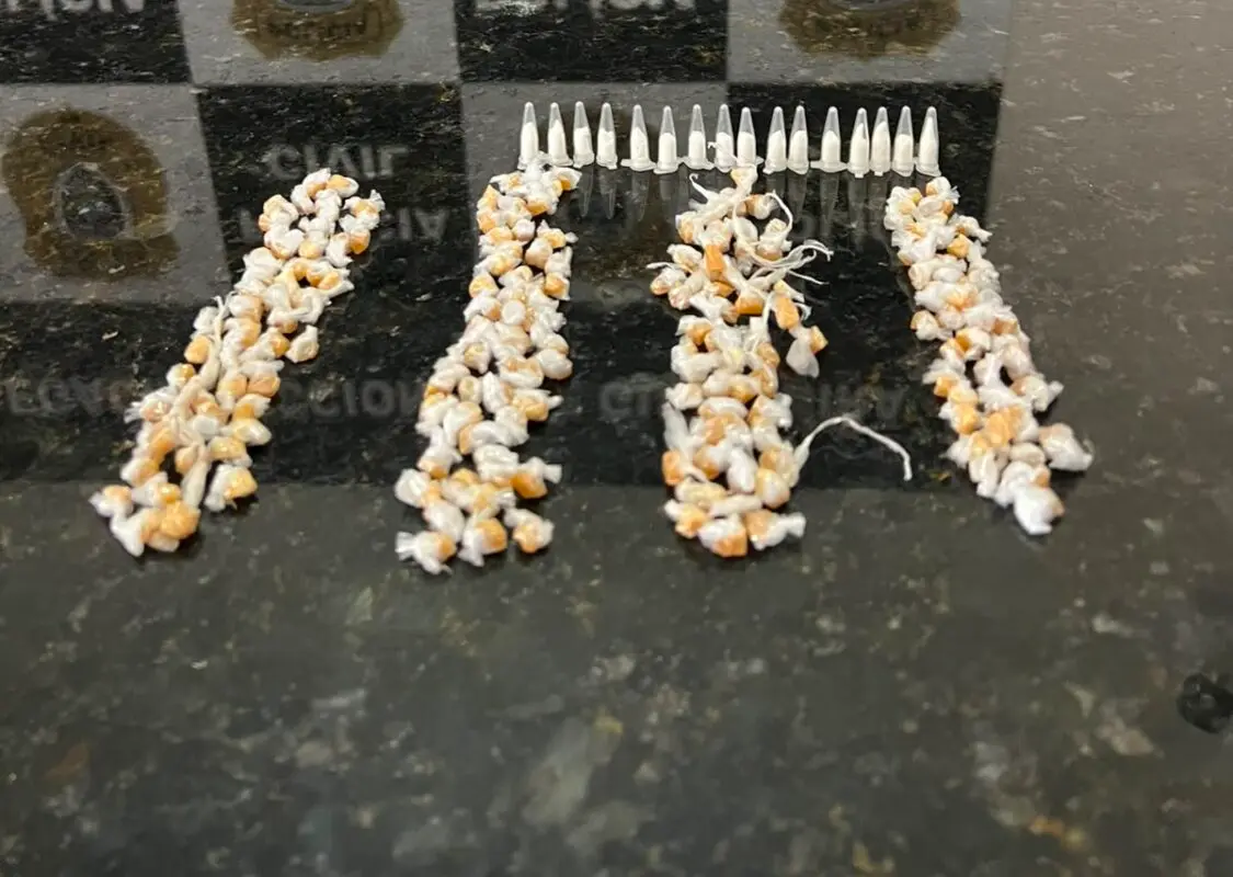 Presa dona de boca de fumo em Alagoa Grande; crack e cocaína são apreendidos