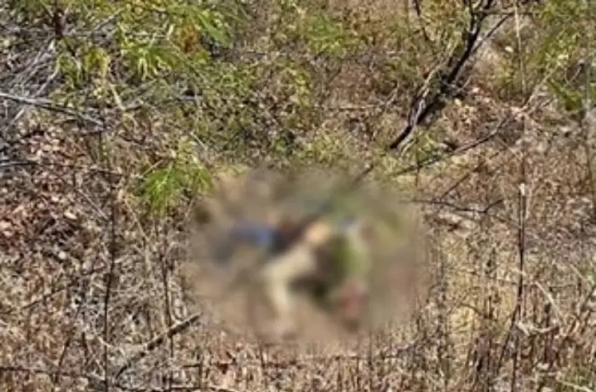 Agricultor encontra corpo de homem em propriedade rural de São José de Piranhas
