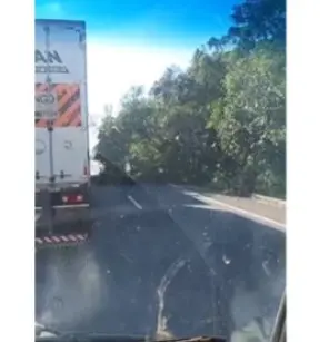 Árvore cai sobre a BR-101 e deixa trânsito lento no sentido João Pessoa a Natal