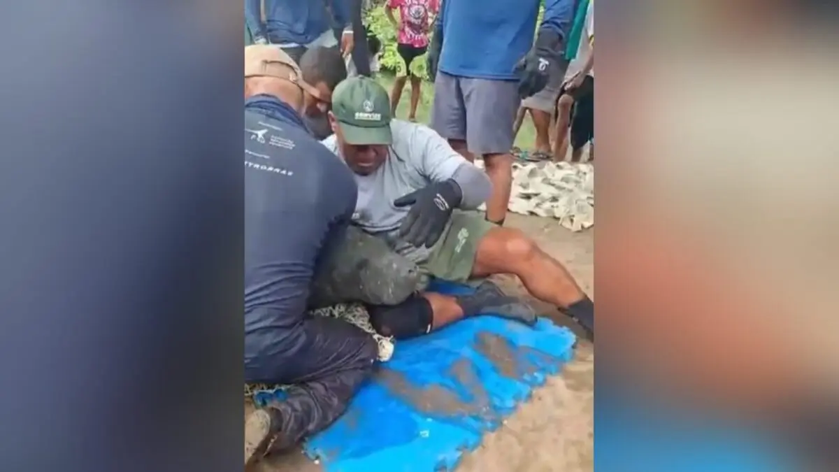 Peixe-boi é resgatado no Rio Jaguaribe, em João Pessoa, e transferido para área de proteção