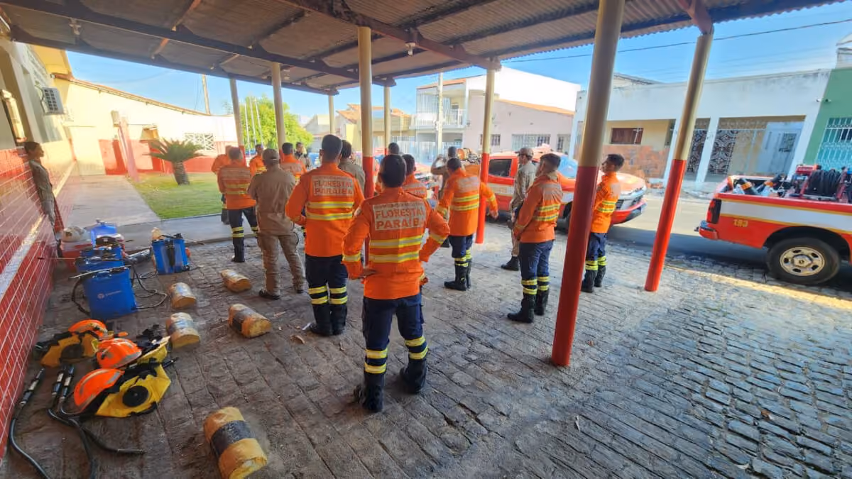 Bombeiros entram no 4º dia de combate a incêndio que já destruiu 800 hectares no Sertão da Paraíba