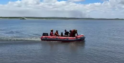 Ossada humana é encontrada após denúncia de cemitério clandestino na Ilha da Restinga, em Cabedelo