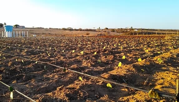 Lucas Ribeiro assina hoje novo acordo com BID e FIDA para Projeto de Desenvolvimento Rural Sustentável